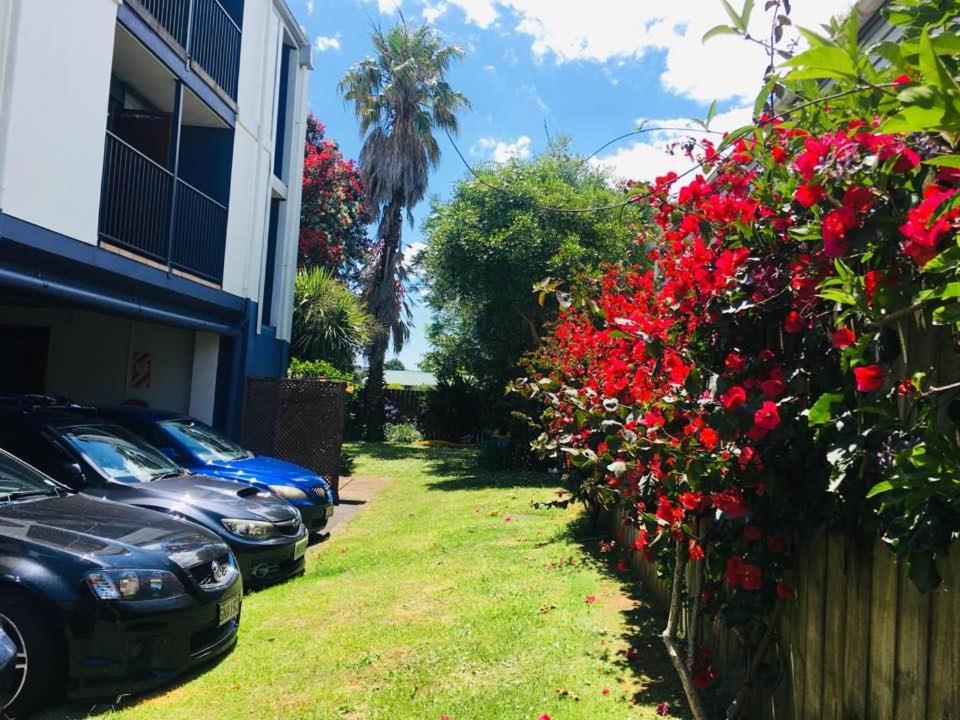 City Of Sails Motel Auckland Exteriér fotografie